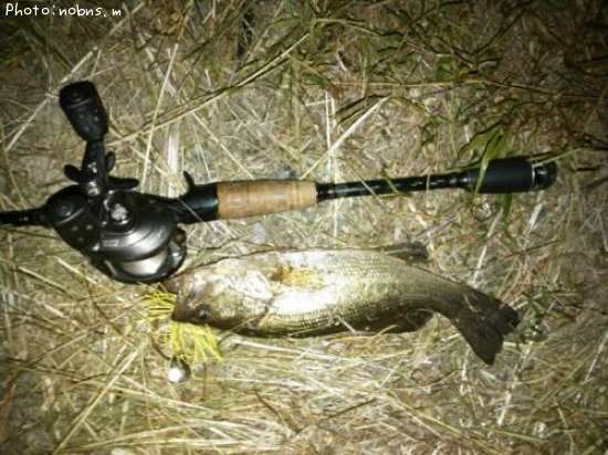 �֥�å��Х�