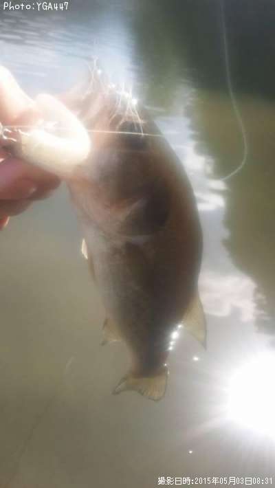 �֥�å��Х�