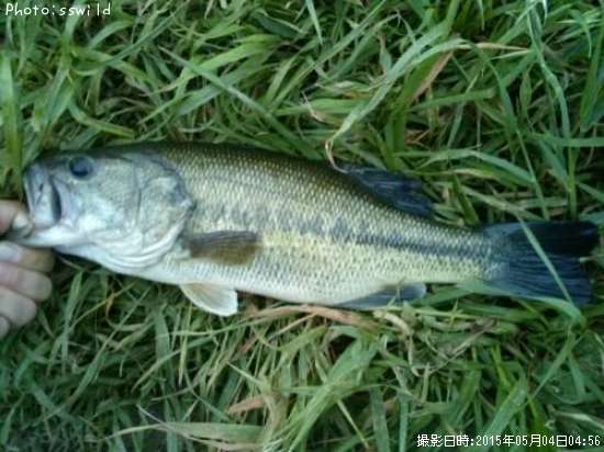 �֥�å��Х�