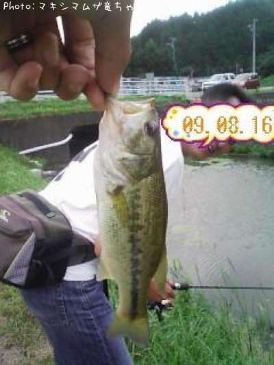 �֥�å��Х�