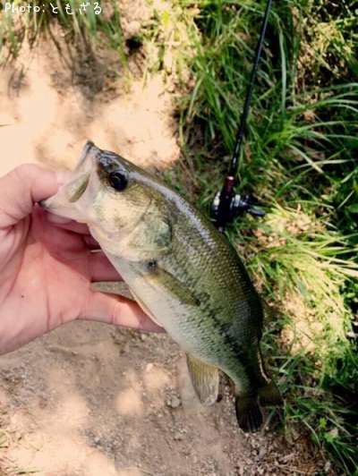 �֥�å��Х�