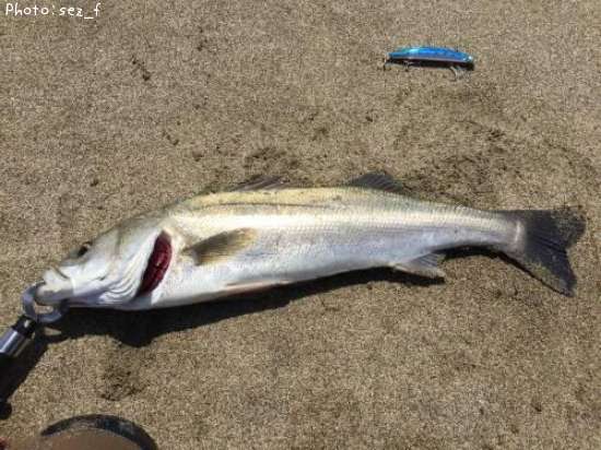 �����Х�