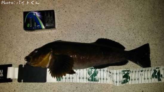 �����ʥ�