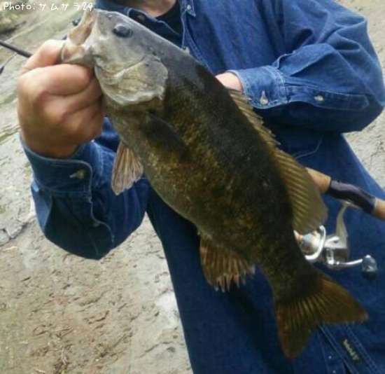 �֥�å��Х�