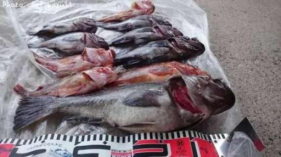 �����ϥ�