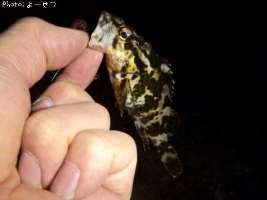 �����Υ���Х�