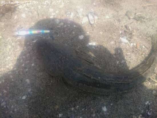 �ޥ���