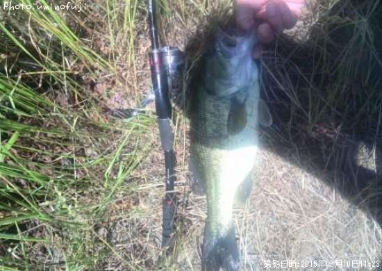 �֥�å��Х�