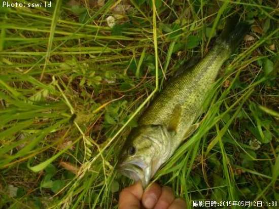 �֥�å��Х�