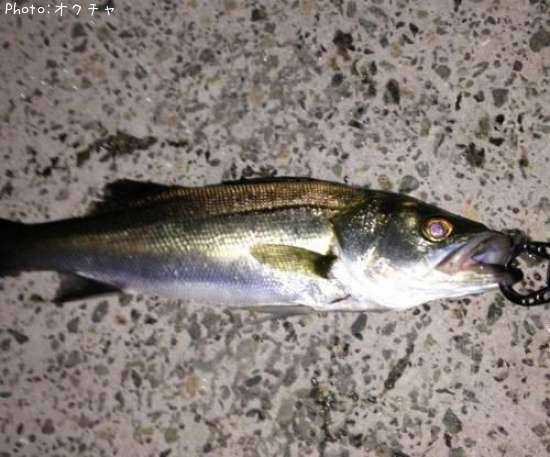 �����Х�