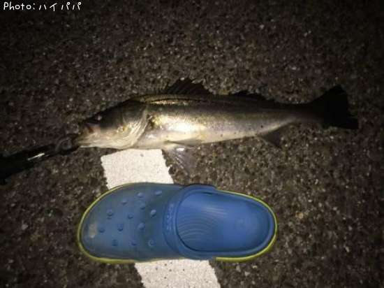 �����Х�