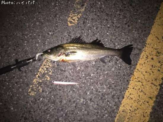 �����Х�