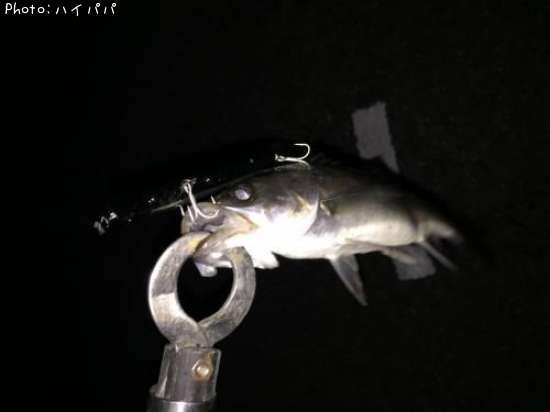 �����Х�