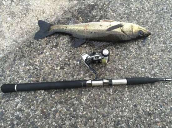 �����Х�