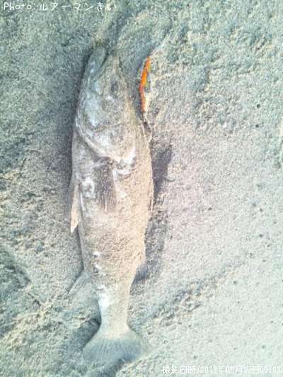 �����Х�