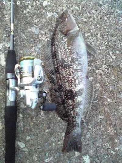 �����ʥ�