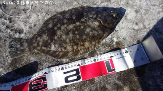 �ޥ����쥤