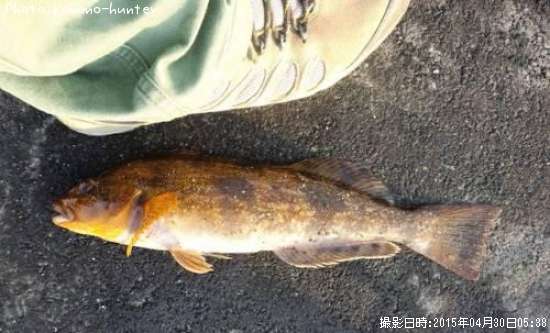 �����ʥ�