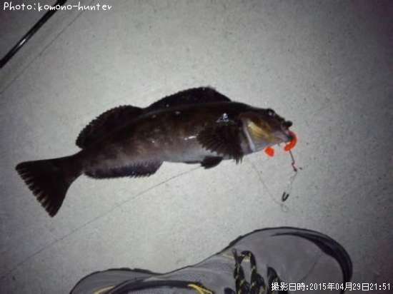 �����ʥ�