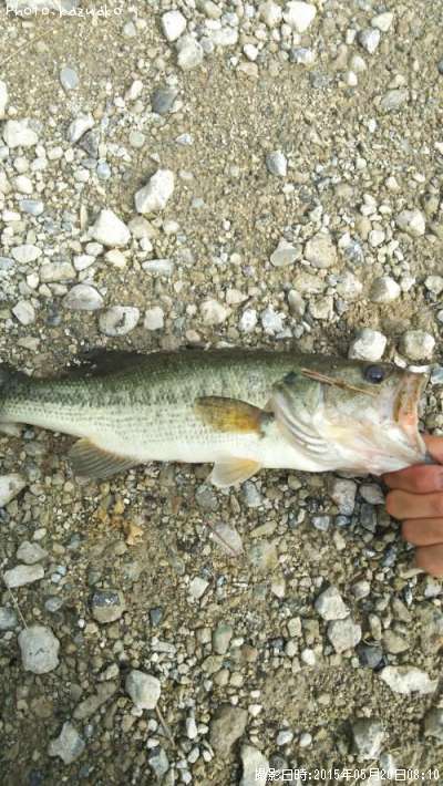 �֥�å��Х�