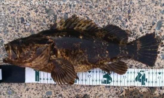 �����Υ���Х�