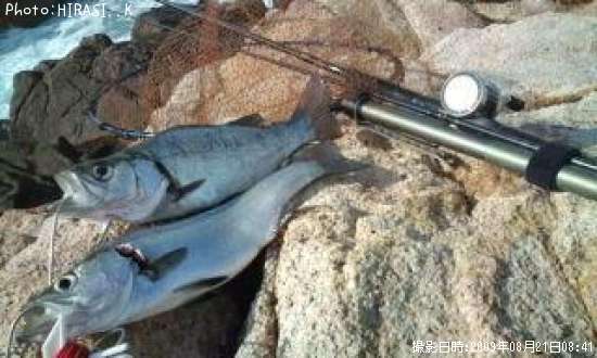 �ҥ饹����