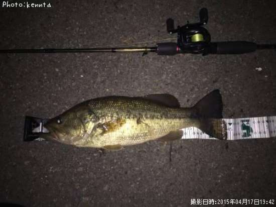 �֥�å��Х�