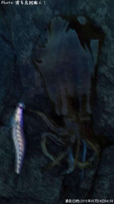 �����ꥤ��