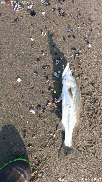 �����Х�