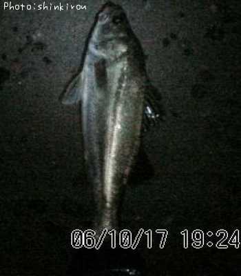 �����Х�