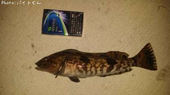 �����ʥ�