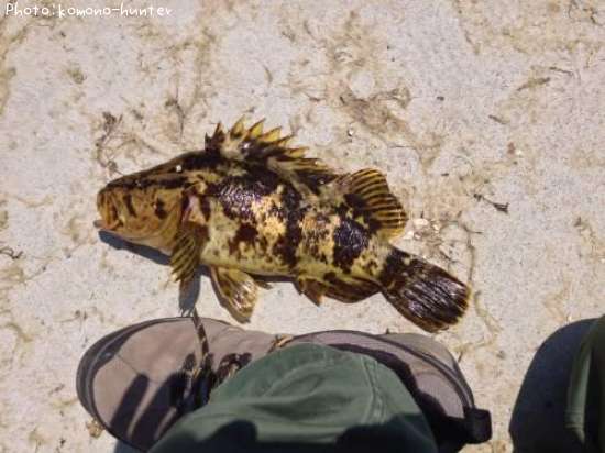 �٥å�������