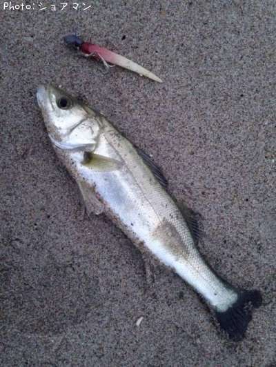 �����Х�