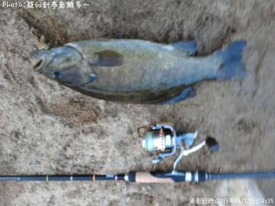 ���⡼��ޥ���