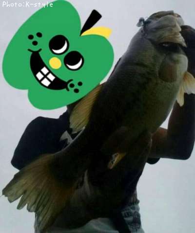 �֥�å��Х�