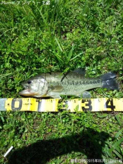 �֥�å��Х�