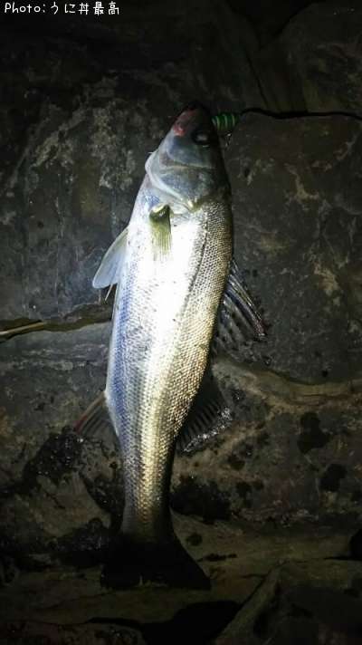 �����Х�