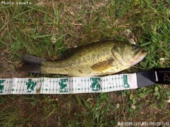 �֥�å��Х�