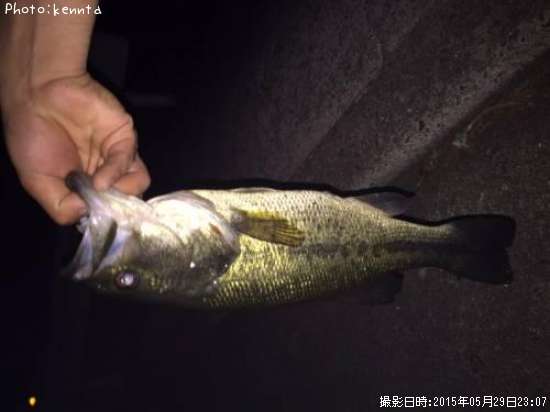 �֥�å��Х�