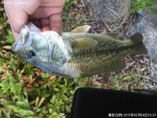 �֥�å��Х�