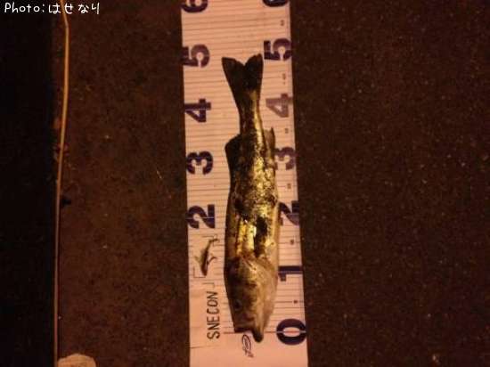 �����Х�