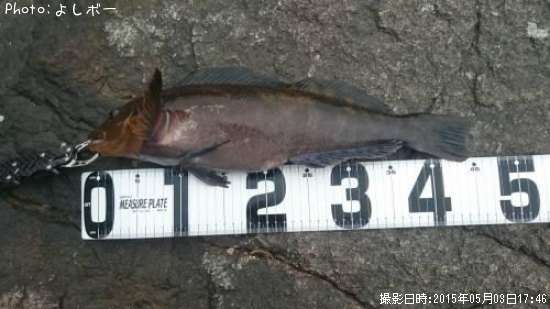 �����ʥ�