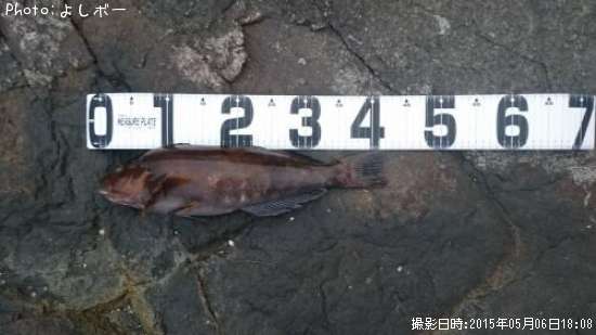 �����ʥ�