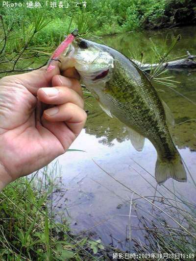 �֥�å��Х�