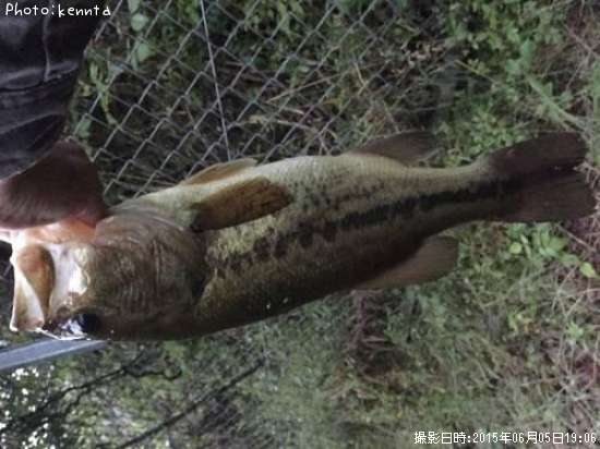 �֥�å��Х�