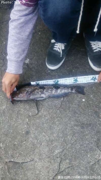 �����ʥ�