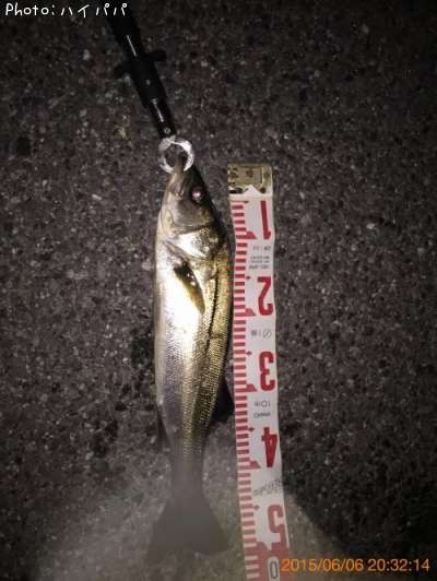 �����Х�