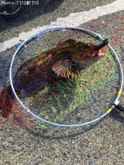 �����ʥ�