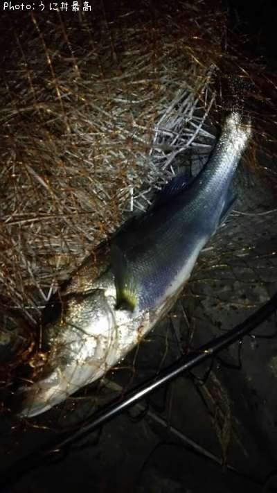 �����Х�