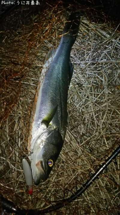 �����Х�